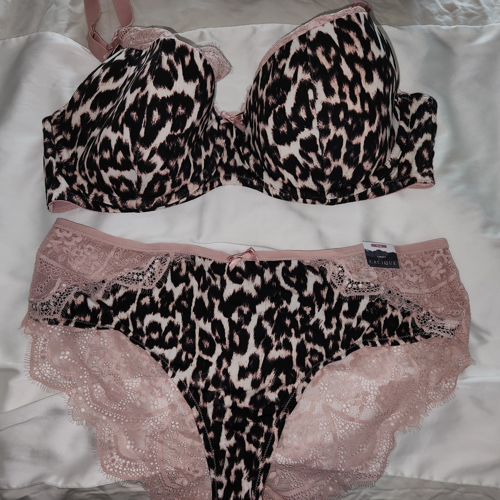 Cacique Pink and Black Lace Bra Intimates